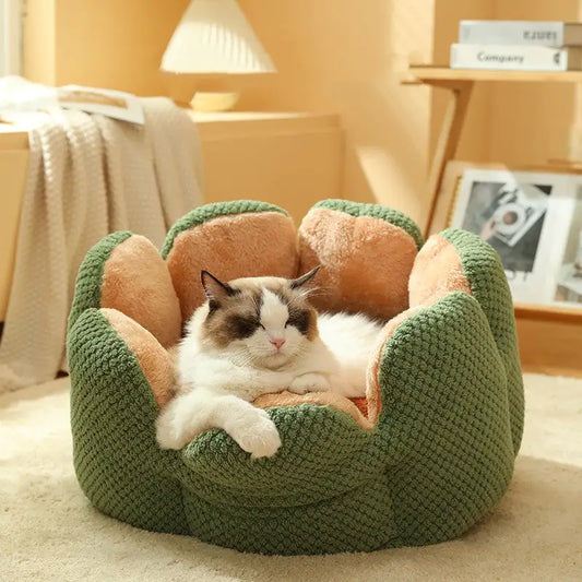 Cactus Blossom Pet Bed