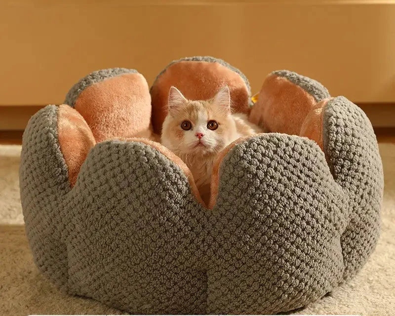 Cactus Blossom Pet Bed