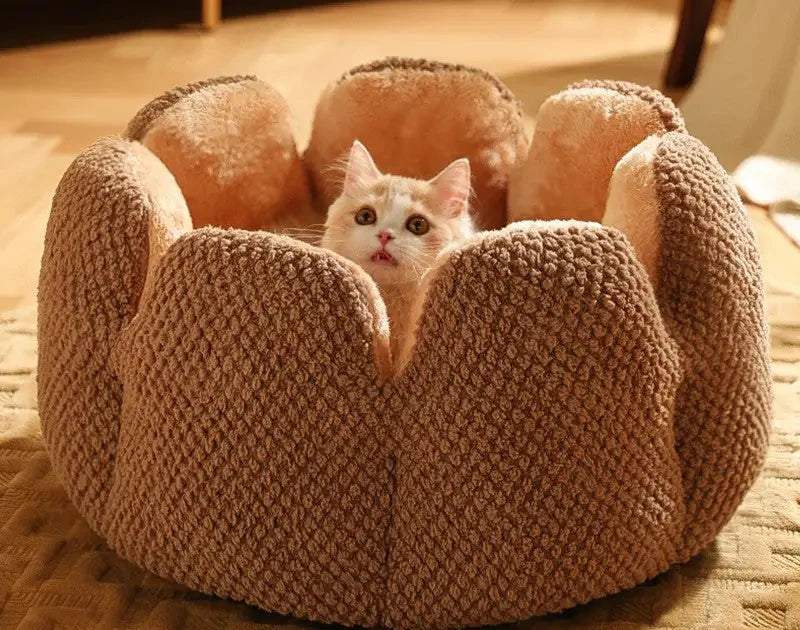 Cactus Blossom Pet Bed