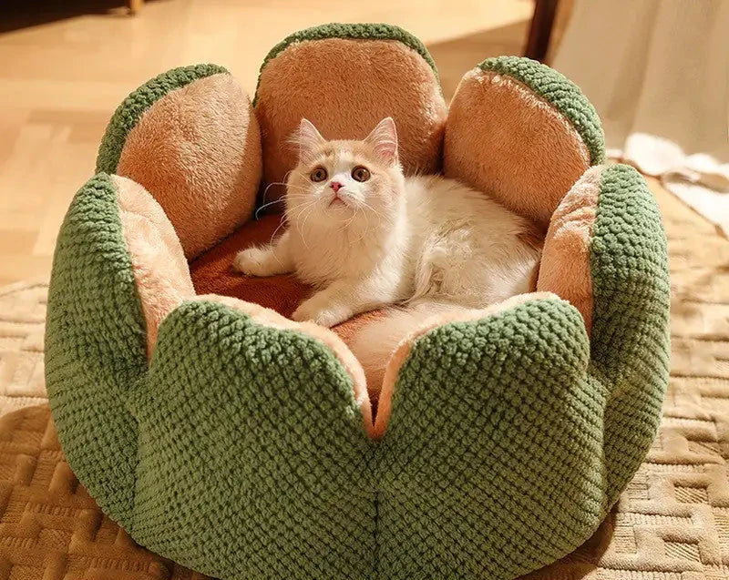 Cactus Blossom Pet Bed